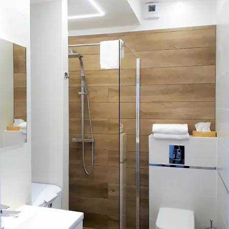 Apartament Pod Debowcem 公寓 *